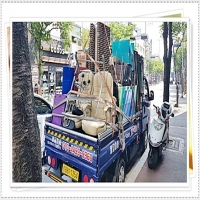 투건용달이사.화물(분당용달이사) PC 갤러리 1